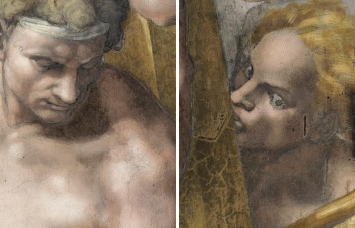 Michelangelo malte in seinem Meisterwerk eine geheime Figur