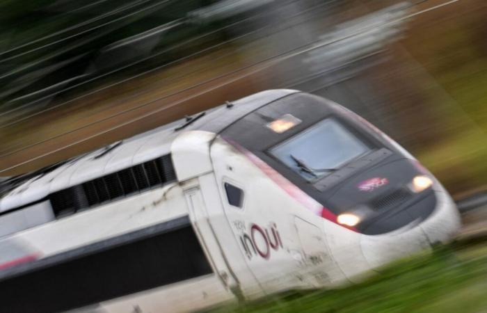 Weniger, aber volle TGVs wie nie zuvor: SNCF kehrt zu den Einnahmen aus der Zeit vor Corona zurück – 18.12.2024 um 14:46 Uhr