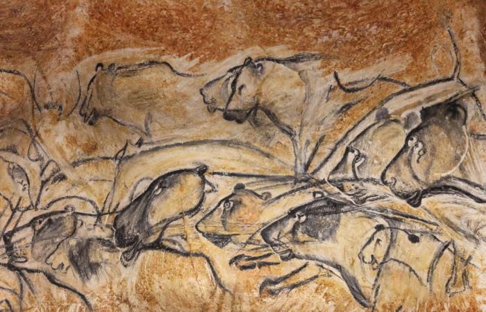 Ein seltenes Privileg, im Jahr 2000 wagte sich „Télérama“ in die echte Chauvet-Höhle