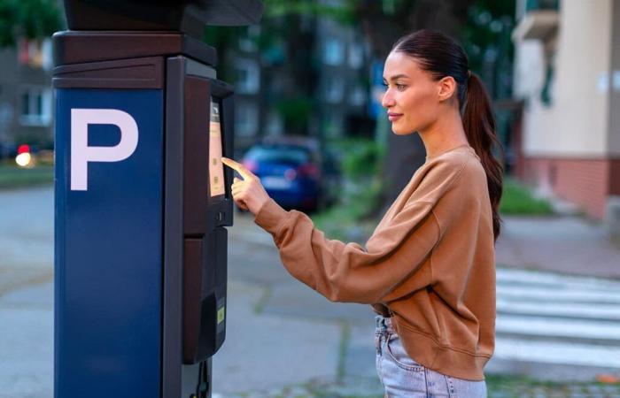 Bezahltes Parken: Neue Tarife basierend auf Ihrem Einkommen: Wie funktioniert das?