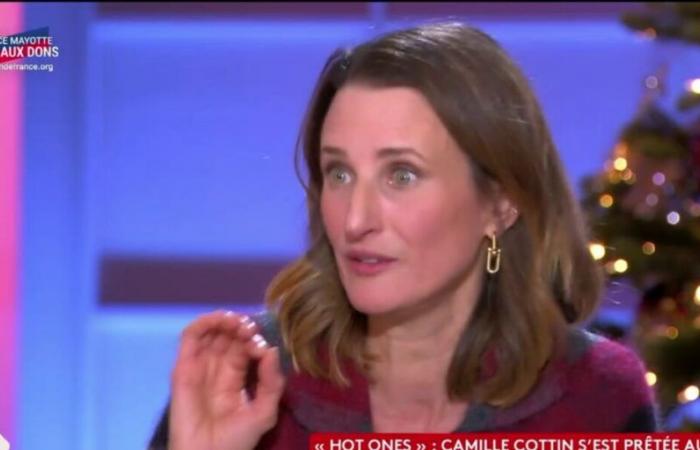 „Am Ende zog ich mich aus und stöhnte“: Camille Cottin verrät, dass eine TV-Show sie krank gemacht hat (ZAPTV)