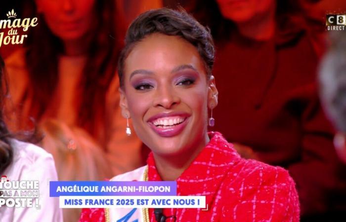 Miss France 2025: Angélique Angarni-Filopon gibt Cyril Hanouna großen Wind, „der Rest bleibt …“