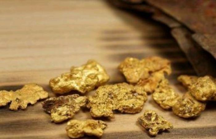 28,6 kg Gold beschlagnahmt, ein dem Staat gestohlenes Vermögen“