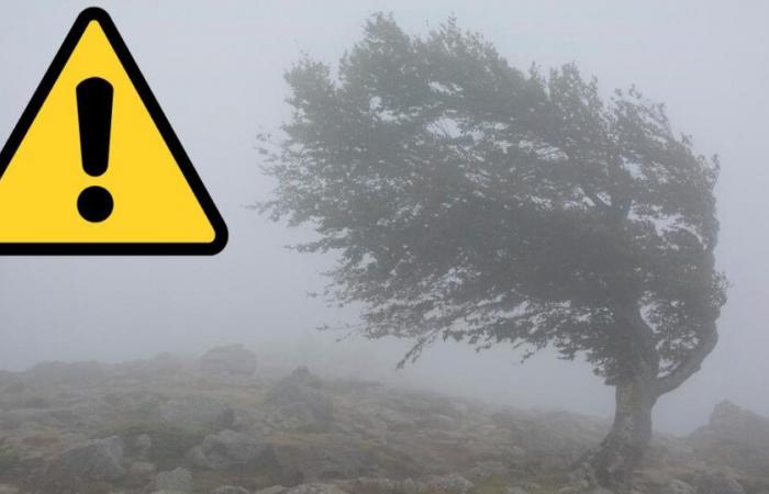 Met Office gibt Wochenend-Wetterwarnung für Powys heraus