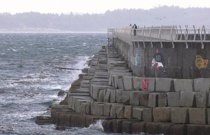 Für Vancouver Island in British Columbia gelten Windwarnungen