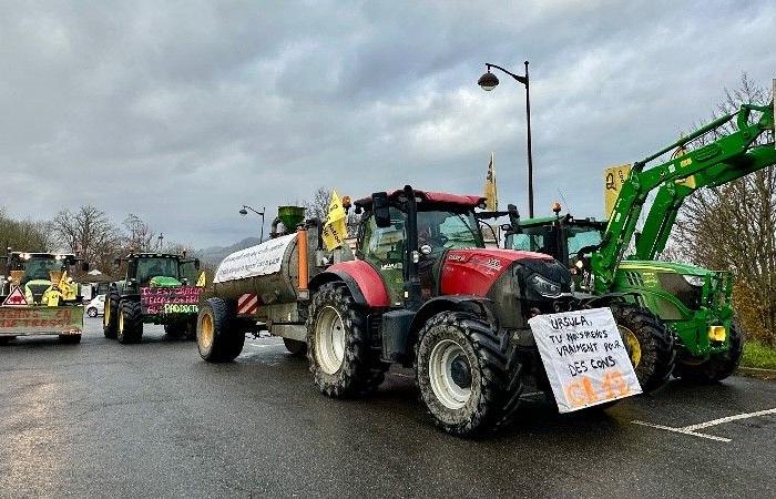 Aveyron. Die Koordinierung des ländlichen Raums zielt bei ihrer neuen Aktion auf Roquefort und den Preis für Schafsmilch ab