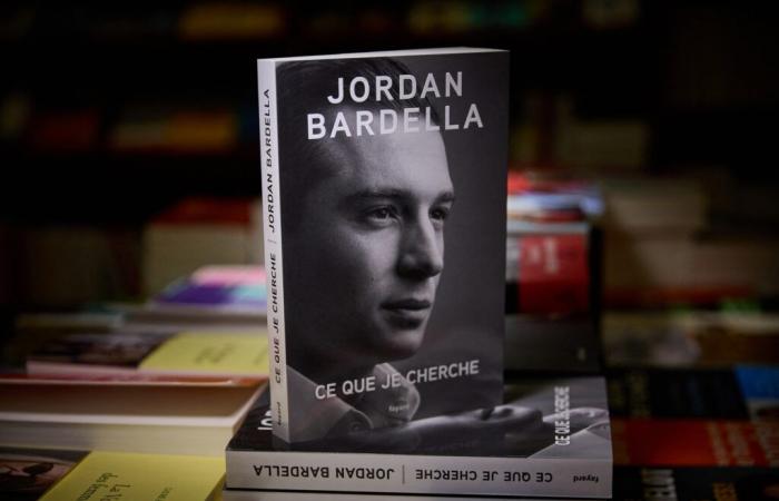 Könnte der Erfolg von Jordan Bardellas Buch durch Steuern subventioniert werden?