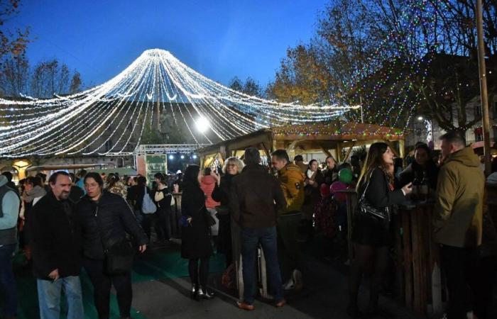 Weihnachtsmärkte und Shows für die ganze Familie