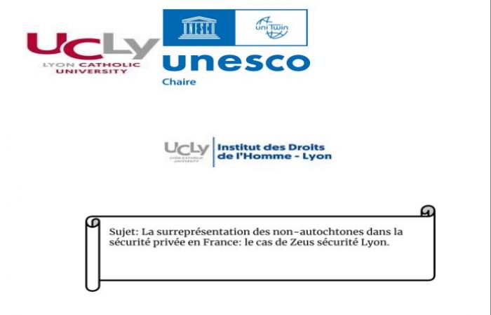 Die Überrepräsentation von Ausländern im privaten Sicherheitsdienst in Frankreich: Probleme, Herausforderungen und Perspektiven