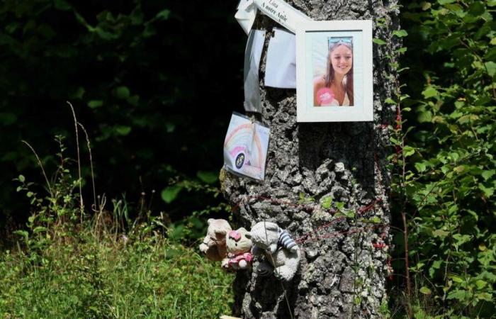 Mord an Lina: Was Experten zum Tod des jungen Mädchens sagen