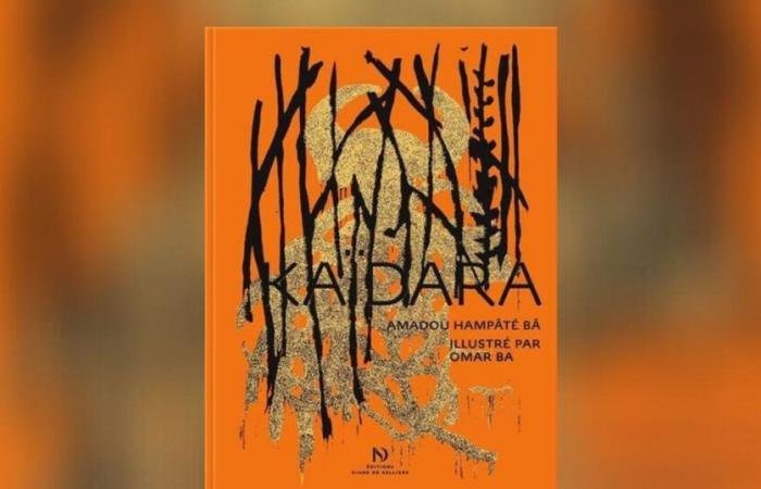 Kaïdara von Amadou Hampâté Bâ: eine fantastische afrikanische Odyssee