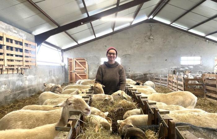 Nachdem sie in ganz Frankreich gearbeitet hatte, zog sie in den Jura, um Züchterin zu werden