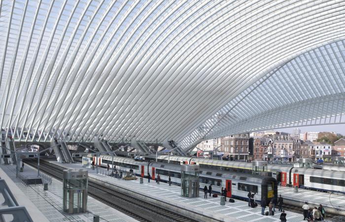 Mons, Lüttich-Guillemins, Charleroi: Spektakuläre Bahnhofsrenovierungen, aber zu welchem ​​Preis?