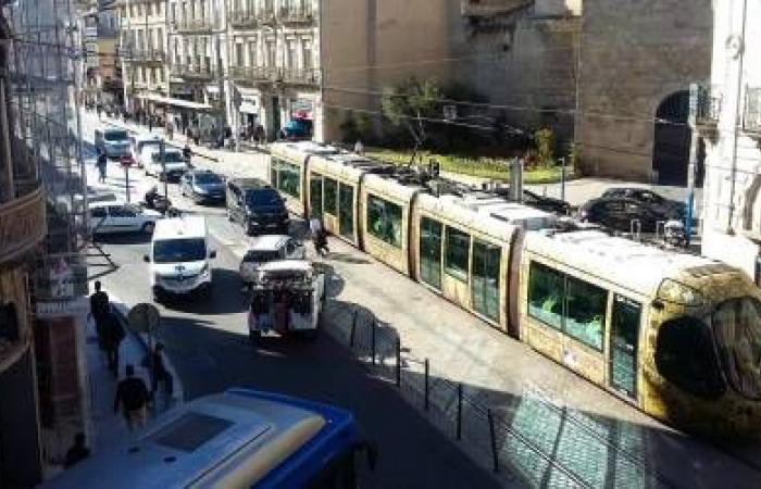 „74,4 % der Einwohner von Hérault wohnen mehr als 10 Minuten von einem Bahnhof entfernt“