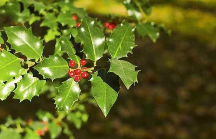 Kalter, heller Tag mit sonnigen Abschnitten und Schauern