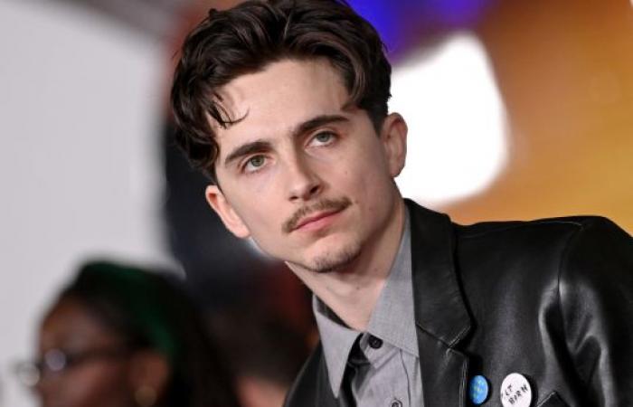 Timothée Chalamet vergleicht Marty Supreme mit Uncut Gems und spricht über Stunts