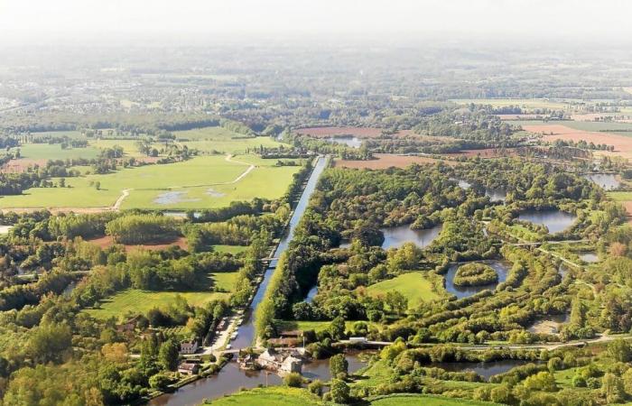 Welche Gemeinden gewinnen oder verlieren die meisten Einwohner in Ille-et-Vilaine?