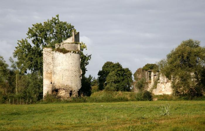 Heritage Lotto. Eine Million Euro wurden für diese beiden Schlösser, diesen Garten, diese Mühle und dieses historische Zentrum des Pays de la Loire gesammelt