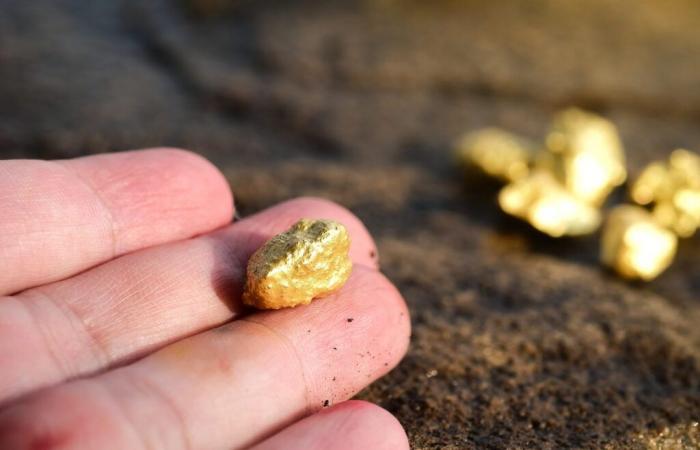 Diese französische Region zieht Goldsucher an