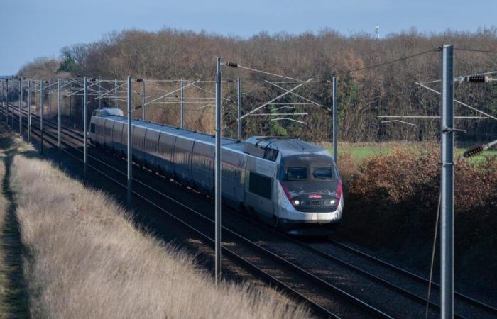 Einem Bericht zufolge bricht der Zug trotz des Preises und der verschlechterten Pünktlichkeit den Besucherrekord