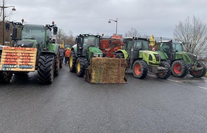 Preis für Schafsmilch: ländliche Koordination in den Straßen von Roquefort-sur-Soulzon