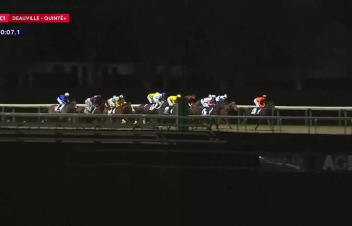 Quinté+: PRIX DE LA SUISSE NORMANDE – DEAUVILLE – 19.12.2024: Läufer, Vorhersagen und Ergebnisse in Videos – Rennen 1