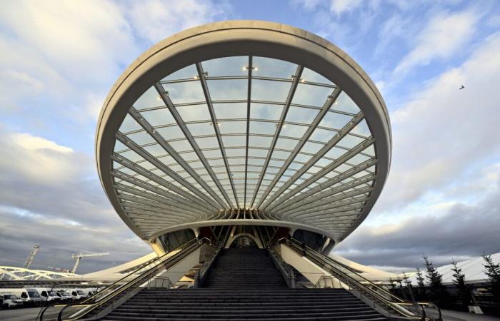 Mons, Lüttich-Guillemins, Charleroi: Spektakuläre Bahnhofsrenovierungen, aber zu welchem ​​Preis?