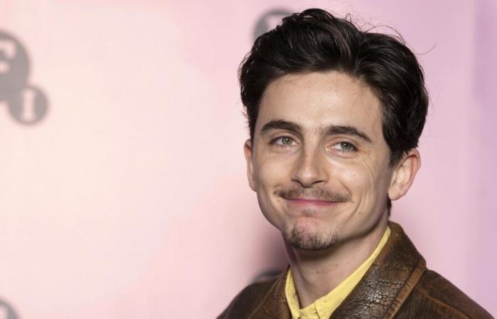 Chalamet bedauert, Dankesreden für verlorene Auszeichnungen geschrieben zu haben