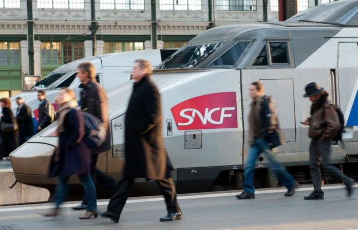 Achtzehn Jahre Gefängnis, weil er sein Baby getötet und in die Toilette eines TGV geworfen hat