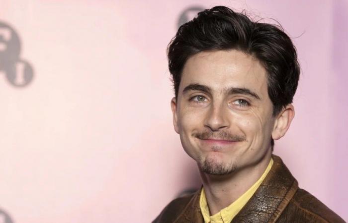 Timothée Chalamet gibt zu, dass er sich beim Vorabschreiben von Dankesreden für verlorene Auszeichnungen wie ein „narzisstischer Idiot“ gefühlt hat