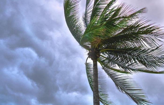 WETTERBERICHT. Sturm Dionisio versetzt Korsika diesen Freitag in Alarmbereitschaft