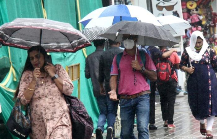 Wetter-Update für Bengaluru: Leichter Regen, wärmere Nächte in den nächsten Tagen erwartet | Bengaluru