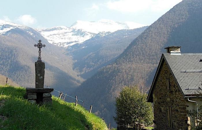 Konzentrieren Sie sich auf die wichtigsten Beihilfen, für die Ariège gestimmt hat