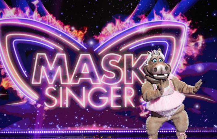 Mask Singer: Entdecken Sie die Jury für die nächste Staffel!