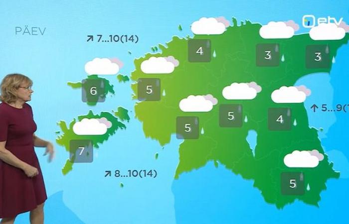 Wetter am Donnerstag bis zur Weihnachtspause mild, aber nass und windig | Nachricht