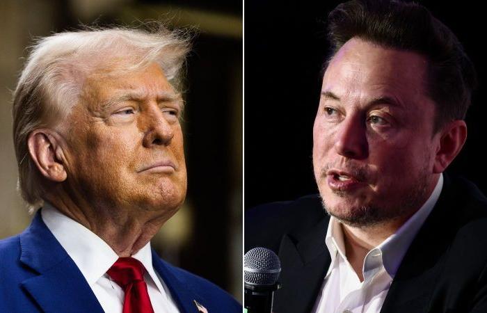 Trump und Musk lösen in Washington eine neue Art von Chaos aus