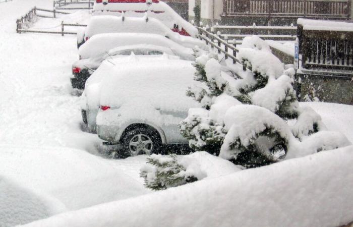 Große Schneelieferung steht bevor!