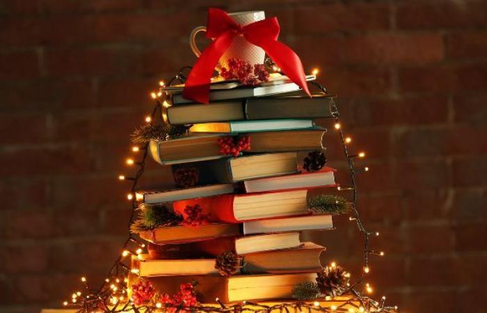 10 Bücher, die Sie zu Weihnachten verschenken oder sich selbst gönnen können