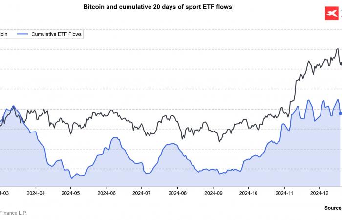 Chart des Tages – Bitcoin (20.12.2024)