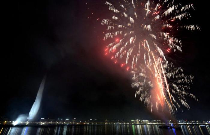 Elektro, Disco, Mapping und Feuerwerk auf dem Silvestermenü in Genf