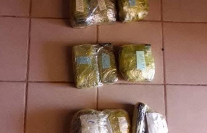 Drei Personen mit 28,6 kg Gold an der Grenze zu Togo festgenommen – Geheimdienst der Sahelzone