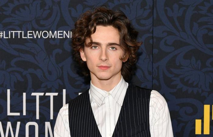 Timothée Chalamet glänzt als Bob Dylan in „A Complete Unknown“