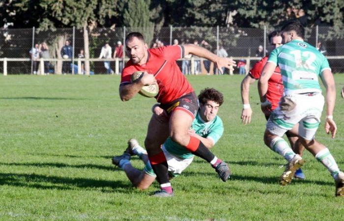 Corbières XV als Favorit, Arpal im Rennen, Trèbes im Tough