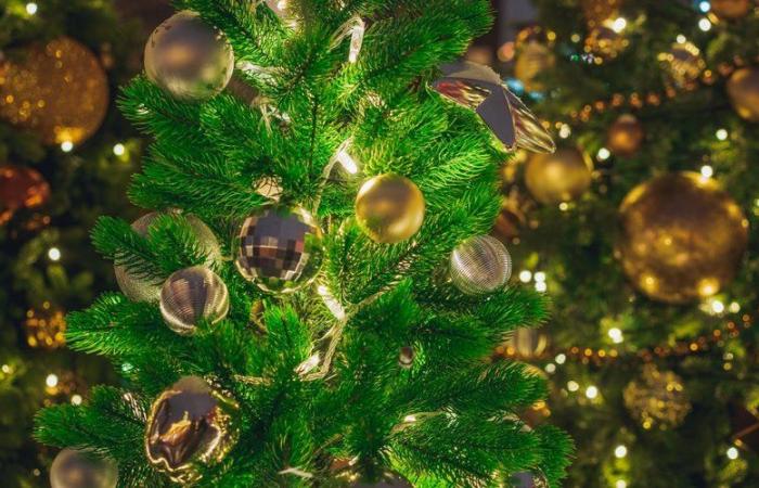 Der Weihnachtsbaum fängt Feuer, das Haus brennt ab: Eine Familie muss wenige Tage vor den Feiertagen umziehen