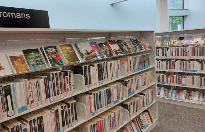 Die am häufigsten ausgeliehenen Bücher im Jahr 2024 in Bibliotheken