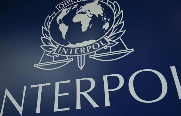 Mord, Vergewaltigung einer Minderjährigen, Drogenhandel … 58 „gefährliche“ Flüchtlinge wurden während einer Interpol-Operation festgenommen