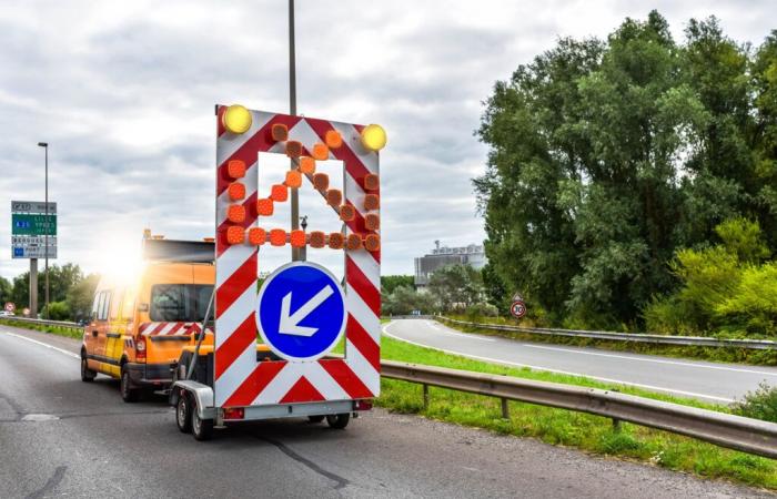 Hundert Schweine blockieren mitten in den Ferien die Autobahn