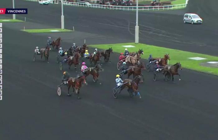 PRIX DES FREESIAS – PARIS-VINCENNES – 20.12.2024: Starter, Vorhersagen und Ergebnisse in Videos – Rennen 1