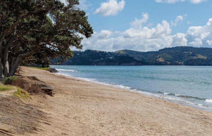 Erdbeben der Stärke 6,1 vor Vanuatu, keine größeren Schäden