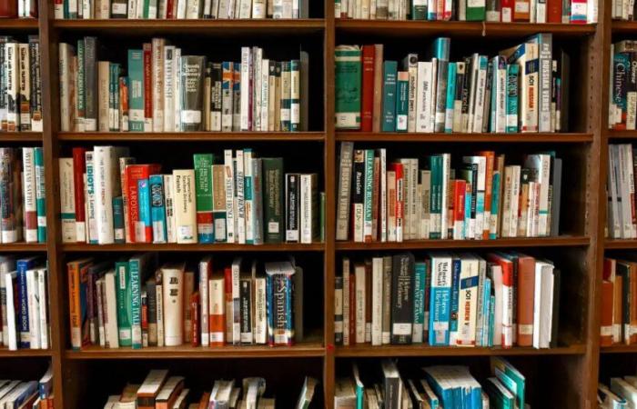 Bücher zum Lesen (oder zum Verschenken), wenn Sie in der Kommunikation arbeiten